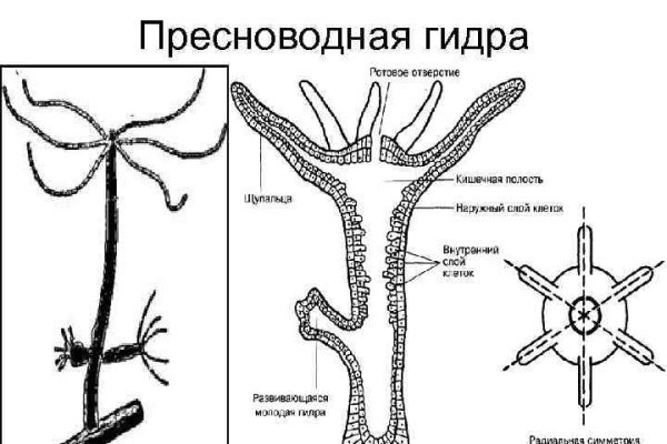 Вход в кракен даркнет