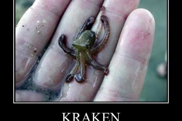 Кракен сс